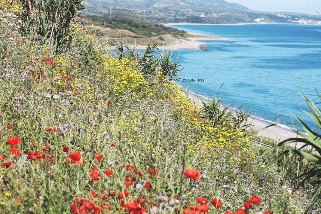 Climatizzato In Centro A 100M Dal Mare Villa Ciro Marina Bagian luar foto